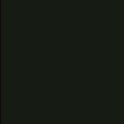 Max 0080